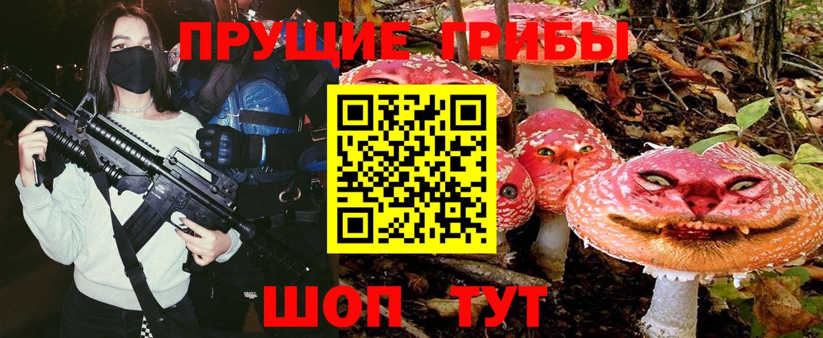 Петрозаводск  Псилоцибиновые грибы Cubensis  Вход с VPN 